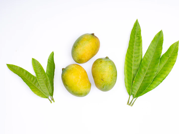 Three mangoes with their leaves on a pale lime backdrop.